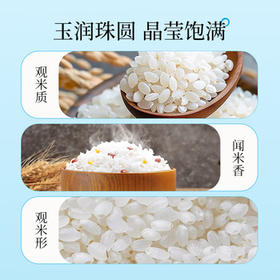 崇明大米正宗崇明岛2025新米 南粳46大米10公斤软糯香米珍珠米含胚芽20斤  /粮油调味 /米 /珍珠米