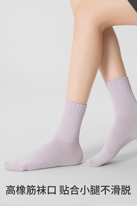 副歌高棉基础抑菌2670/1617 商品图1