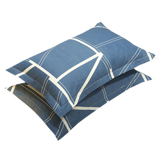 枕套枕头套单只一对成人学生儿童宿舍家用大枕芯套芦荟棉春夏新款新品 商品图4