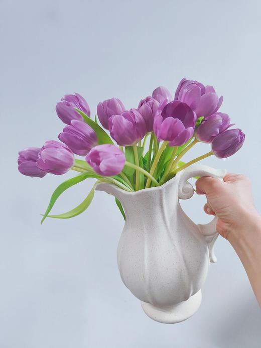 【幽梦郁金香】10支/份  长约25-30cm 商品图2