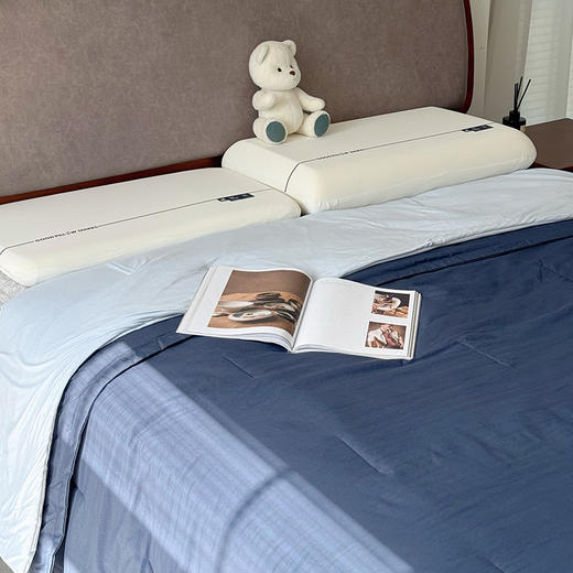 预售3天 【亚朵同款春秋被】双层子母被  实现内被控温（上层负责持久温暖，下层保证干爽透气） A类母婴级裸肌面料 整个被子都可以机洗 商品图0