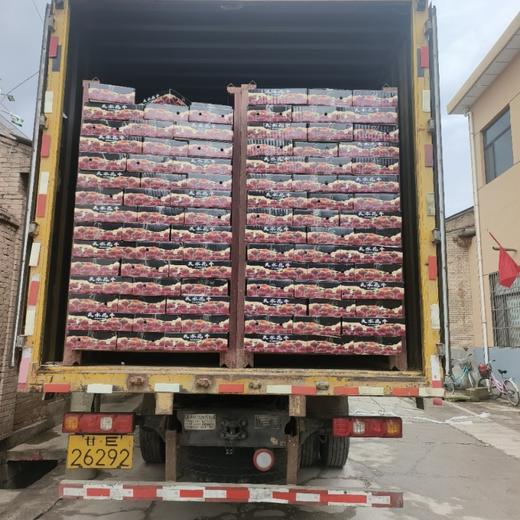 【天水花牛苹果】细腻的肉质初吃甜脆，放几天粉面。顺丰发货！ 商品图5