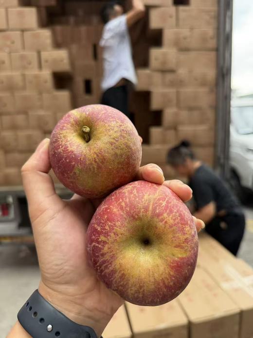 高山苹果6斤/件 商品图0