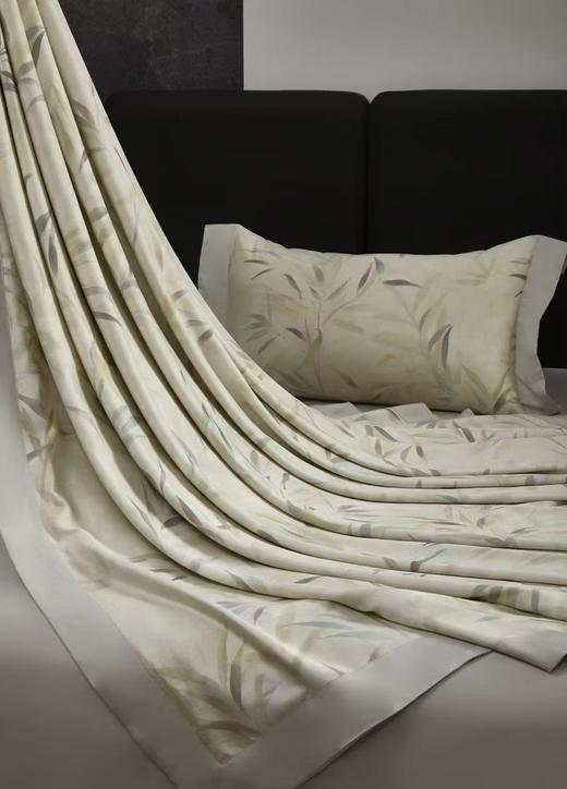 CP竹纤维竹棉磨毛印花四件套2250 商品图3