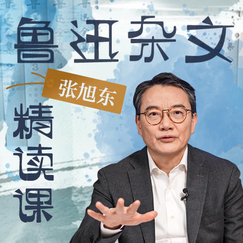 张旭东·鲁迅杂文精读课 商品图0