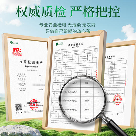 茶马世家 信阳绿茶 口粮茶250g大分量装 商品图8