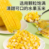 【橙子快跑】即食贝贝南瓜/红瑶蜜薯/甜玉米粒 速食健身早餐52g/袋 商品缩略图6