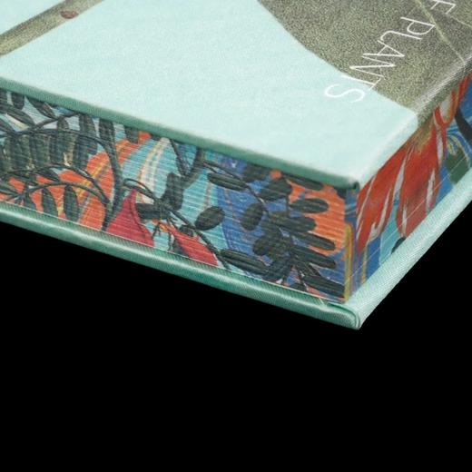 【特装本/繁花版】群芳：植物王国的艺术与探险  方寸   [美]桑德拉·纳普(Sandra Knapp) 著;顾有容 译 社会科学文献出版社官方首发 商品图6