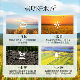 崇明大米正宗 崇明岛2025新米 鲜香大米5kg软糯珍珠米粳米香米 含胚芽10斤 /粮油调味 /米 /珍珠米