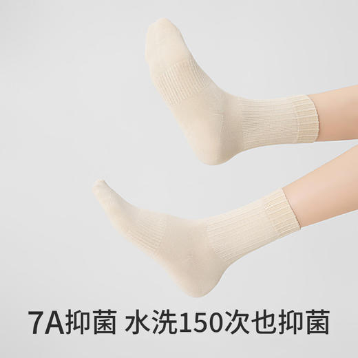 副歌高棉基础抑菌2670/1617 商品图9