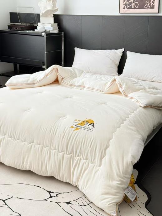 【经典李官奇大豆被升级款】升级55%大豆纤维A类抗菌冬被  天丝棉加厚子母被被芯 商品图1