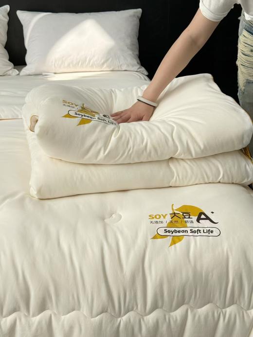 【经典李官奇大豆被升级款】升级55%大豆纤维A类抗菌冬被  天丝棉加厚子母被被芯 商品图6