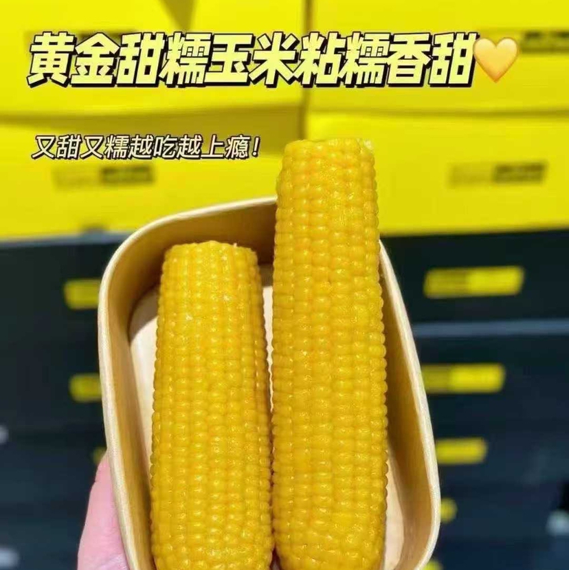 【黑金玉米双拼/巧克力玉米系列】#🌽黑金时刻玉米
软糯到拉丝的玉米
一盒里有两种 黄糯玉米和黑玉米
玉米软糯绵密 一点也不粘牙 甜度恰当
特点总结：软糯不干巴 拉丝不粘牙