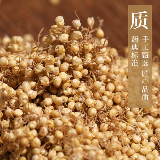 谷芽 康美中药饮片 独立小包装10g起 商品图2