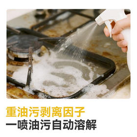 京东京造厨房重油污净450g 油烟机清洁剂重油污克星柠檬清香 /家庭清洁/纸品 /家庭环境清洁 /油污清洁剂