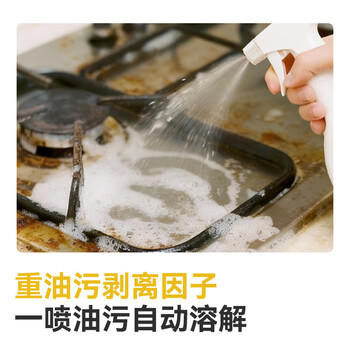 京东京造厨房重油污净450g 油烟机清洁剂重油污克星柠檬清香 /家庭清洁/纸品 /家庭环境清洁 /油污清洁剂 商品图0