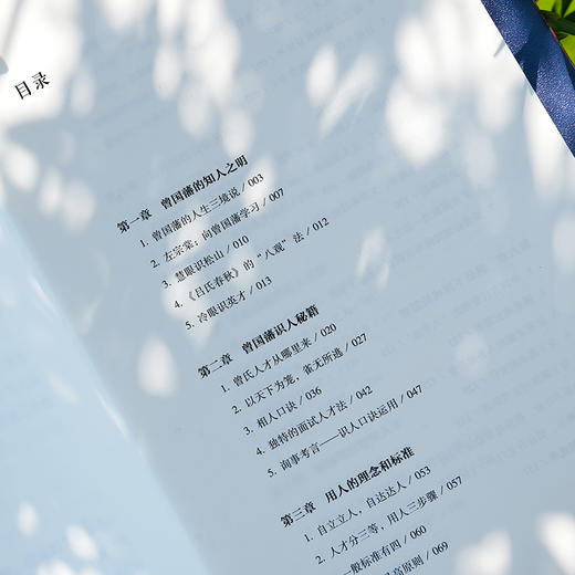 林乾作品系列:知人之明 商品图5