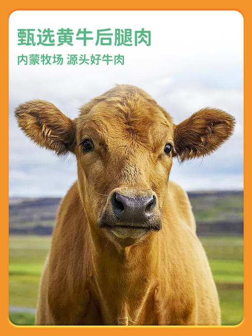 纯肉健康零食组合 内蒙古牛肉小小棒/新疆三文鱼肠 无添加 高蛋白  多款可选SSW 商品图6