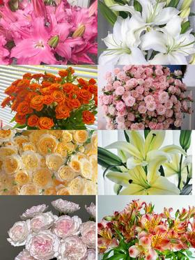 精品鲜花【GY】