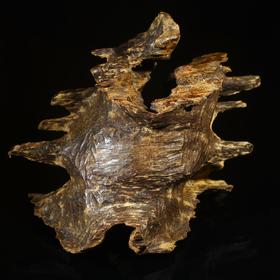 BC.PF9.22-8  香港沉水(原料) ,434.2g