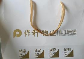 定制礼品袋