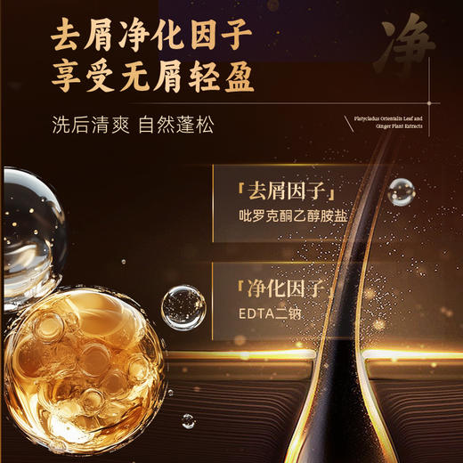 【200积分+29.9元】怡长轻 侧柏叶生姜植萃洗发水 500ml/瓶 控油蓬松清爽去屑 商品图2