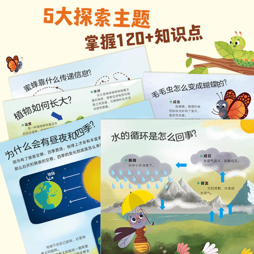 乐乐趣 莉莉兰的小虫虫手电筒看里面 商品图4