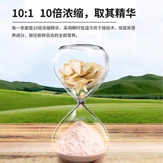【暖暖专享】金洲百合精萃粉 精选兰州百合 配料干净  75g/盒（5g*15条） 商品图3
