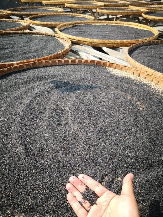 九蒸九晒芝麻丸（防治脱发） 商品图7