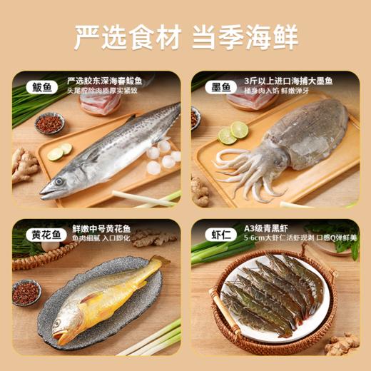 胶东渔嫂海鲜馄饨鲅鱼墨鱼黄花鱼虾仁荠菜云吞早餐速食手工小混沌 商品图1