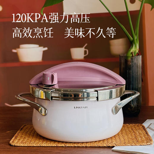 【高压力锅 也可以汤锅】3L  燃气电磁炉通用 360°随意开盖 无需对准 快速炖煮~预售3天 商品图0