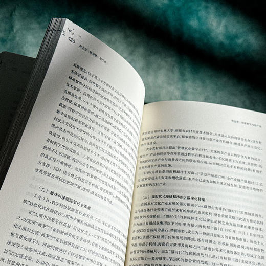 新文化 新场景 新产业 福建数字创意产业发展图景 王惠蓉 商品图12