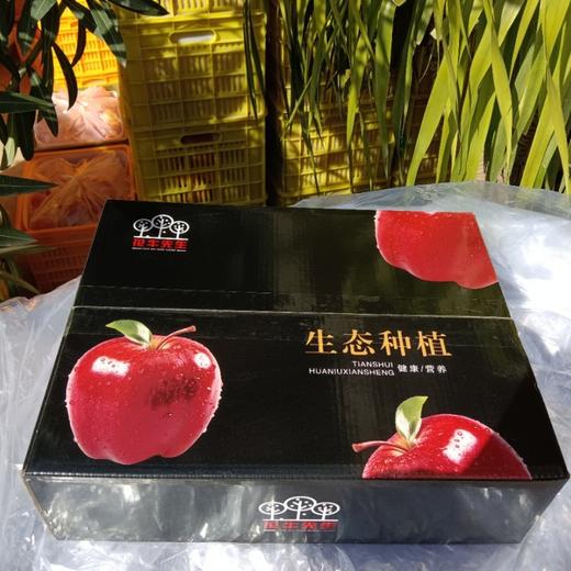 【天水花牛苹果】细腻的肉质初吃甜脆，放几天粉面。顺丰发货！ 商品图3