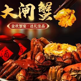 开湖热卖！【活蟹现发礼盒装】 阳澄湖大闸蟹品质现货 肉质鲜美 赠吃蟹工具！ha