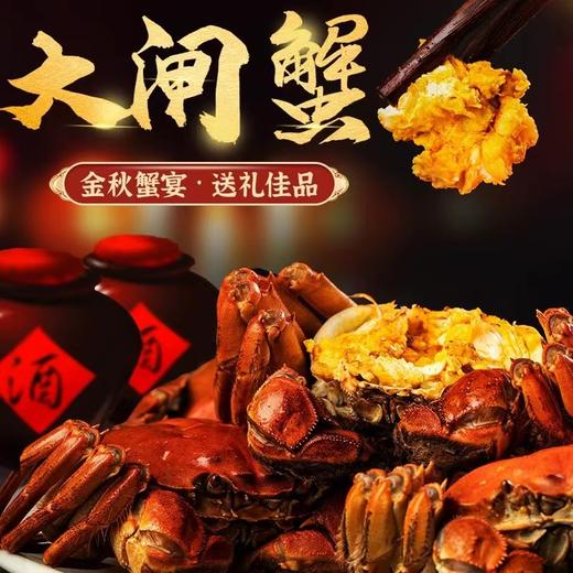 开湖热卖！【活蟹现发礼盒装】 阳澄湖大闸蟹品质现货 肉质鲜美 赠吃蟹工具！ha 商品图0