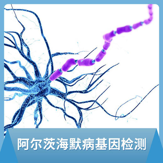 【蓝十字】阿尔茨海默病基因检测 商品图0