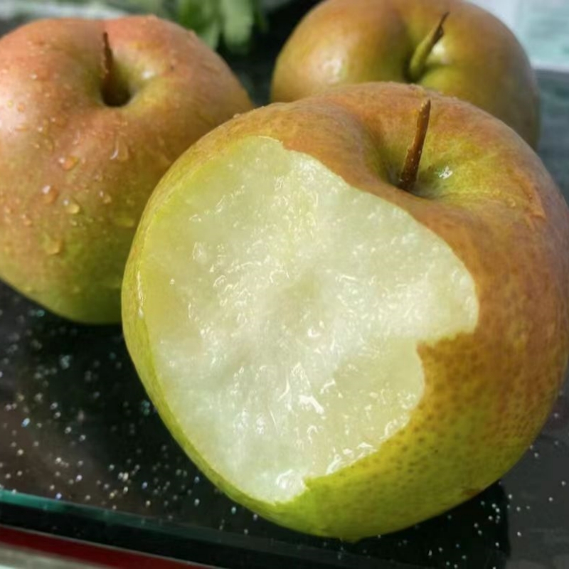 【隰县】玉露香梨  皮薄核小 脆甜多汁
