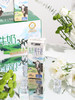 #北方乳业出品\每箱12支\3.6g优质乳蛋白不二西域高原纯牛奶*3箱 商品缩略图6