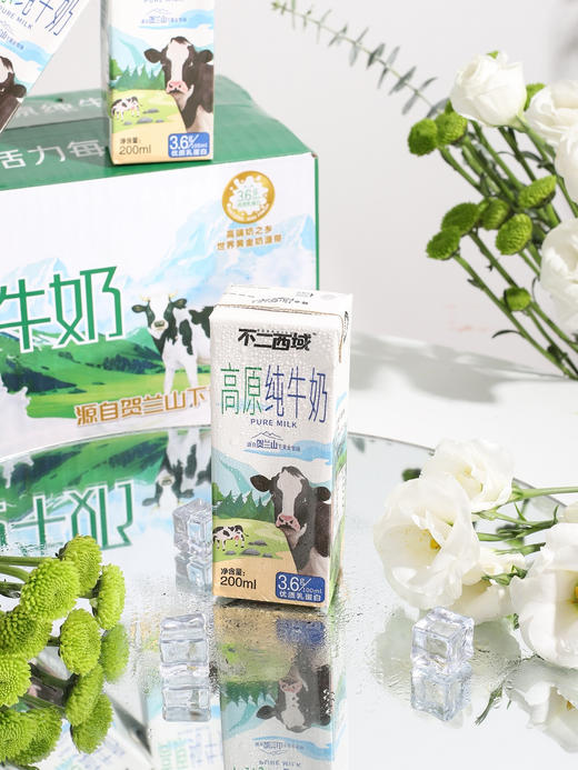#北方乳业出品\每箱12支\3.6g优质乳蛋白不二西域高原纯牛奶*3箱 商品图6