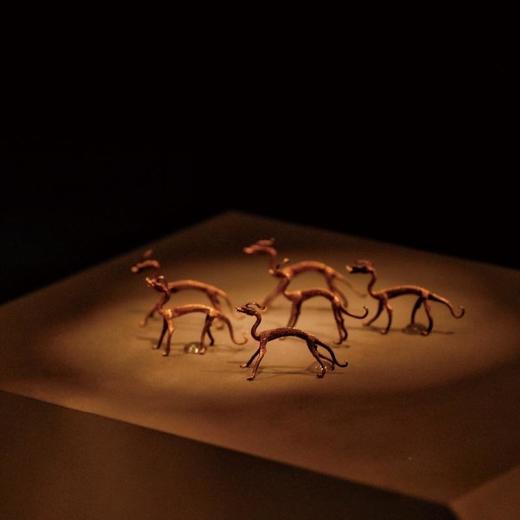 金龙引·电镀金版(贰号5克装) 呈现充满张力的野性气息 商品图2