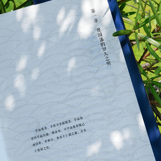 林乾作品系列:知人之明 商品图6