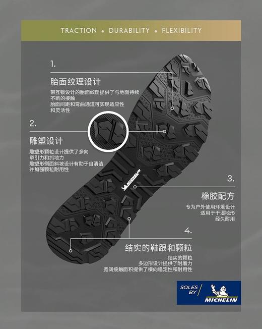 DT 秋冬Dualis GORE-TEX 米其林鞋底防滑耐磨中帮休闲户外鞋 特惠 Z-15635 商品图9