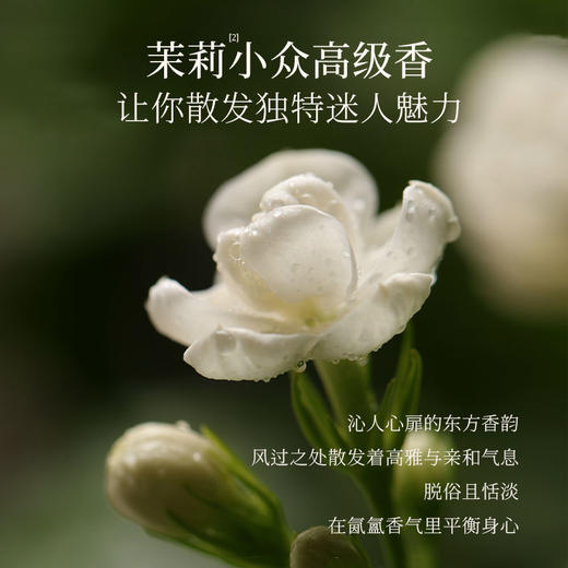 橪 和月茉莉精油植萃身体乳 200g 商品图4