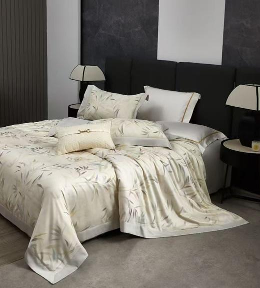 CP竹纤维竹棉磨毛印花四件套2250 商品图2