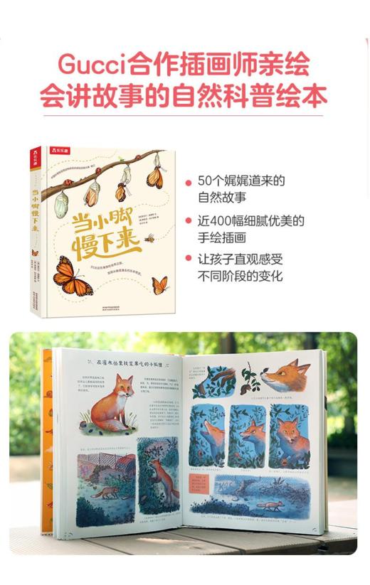 乐乐趣 3-8岁360度科普全册礼包（11册） 商品图1