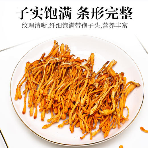 有机虫草花100g 商品图8