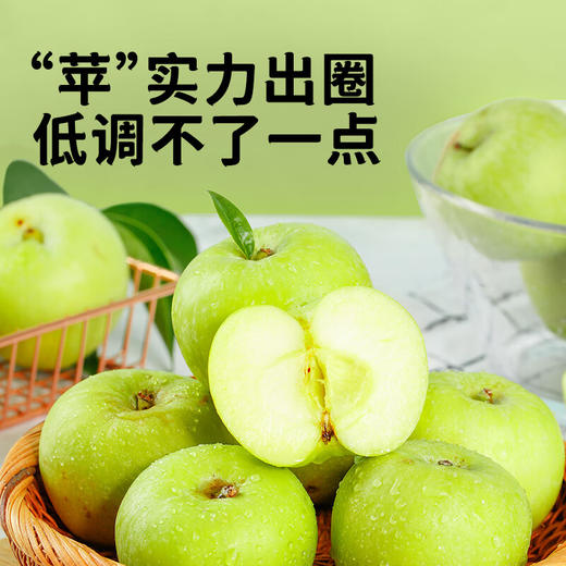 海天苹果醋450ml*3瓶 商品图1