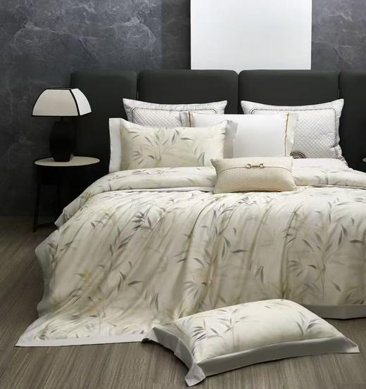 CP竹纤维竹棉磨毛印花四件套2250 商品图1