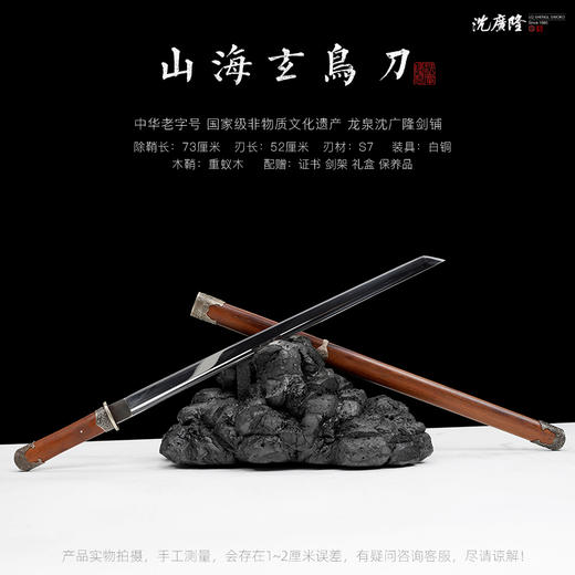 山海玄鸟刀 汉唐收藏刀剑 龙泉沈广隆宝剑一体刀剑 未开刃 商品图0