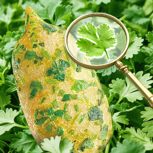 【香香香香上头】洽洽大大大香菜瓜子仁18g*30包【新品上市】 商品图1